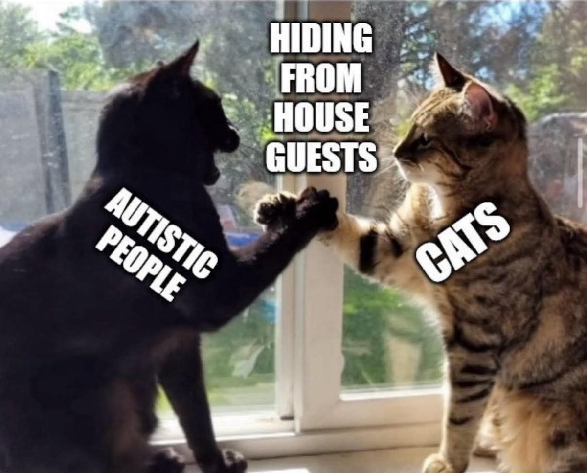 No Nonsense Neurodivergent tweet media