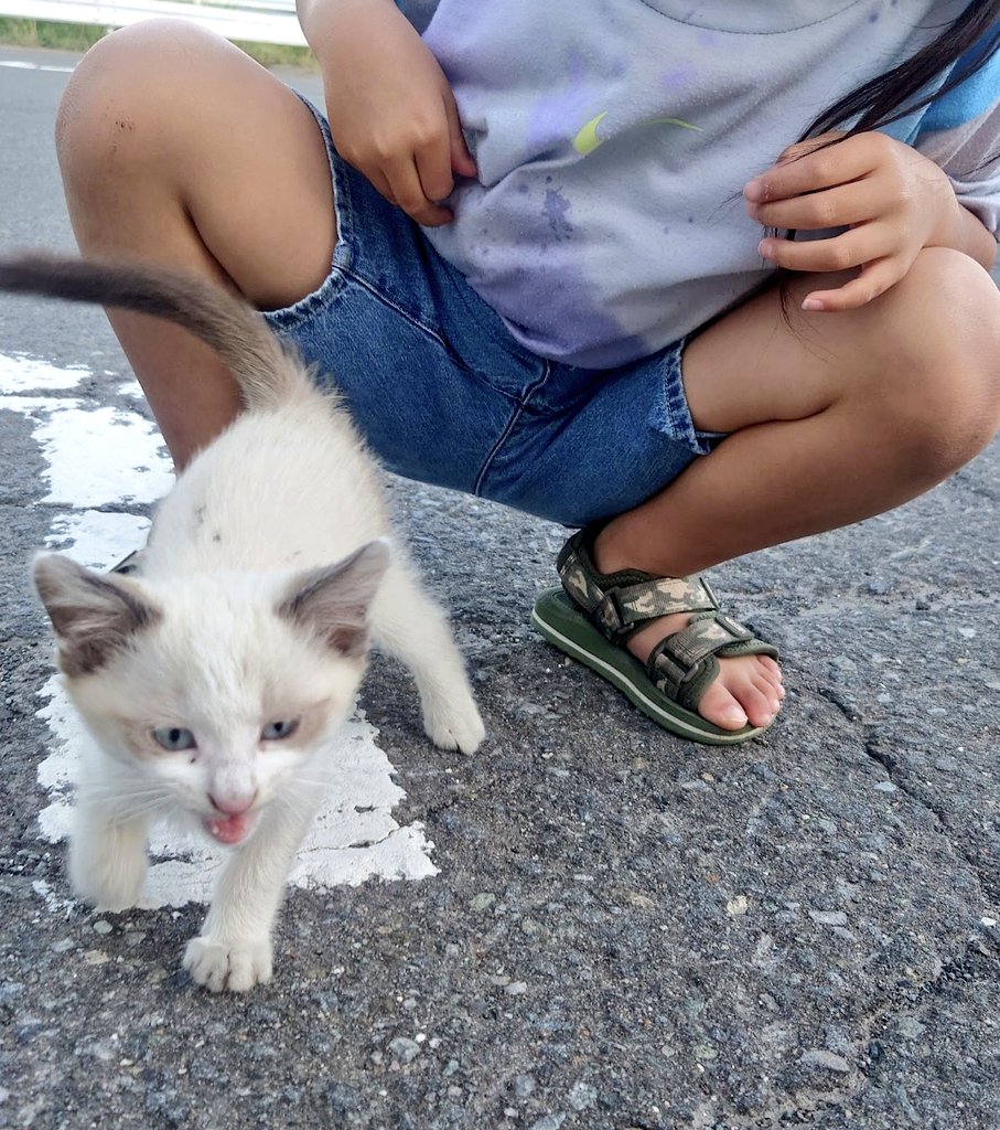 きゃおり tweet media