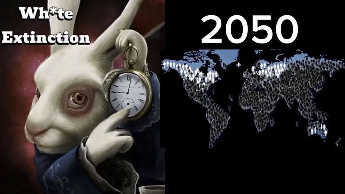 Bryan Moore tweet media