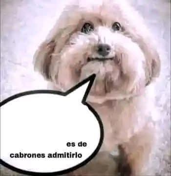 Pariskaezy tweet media