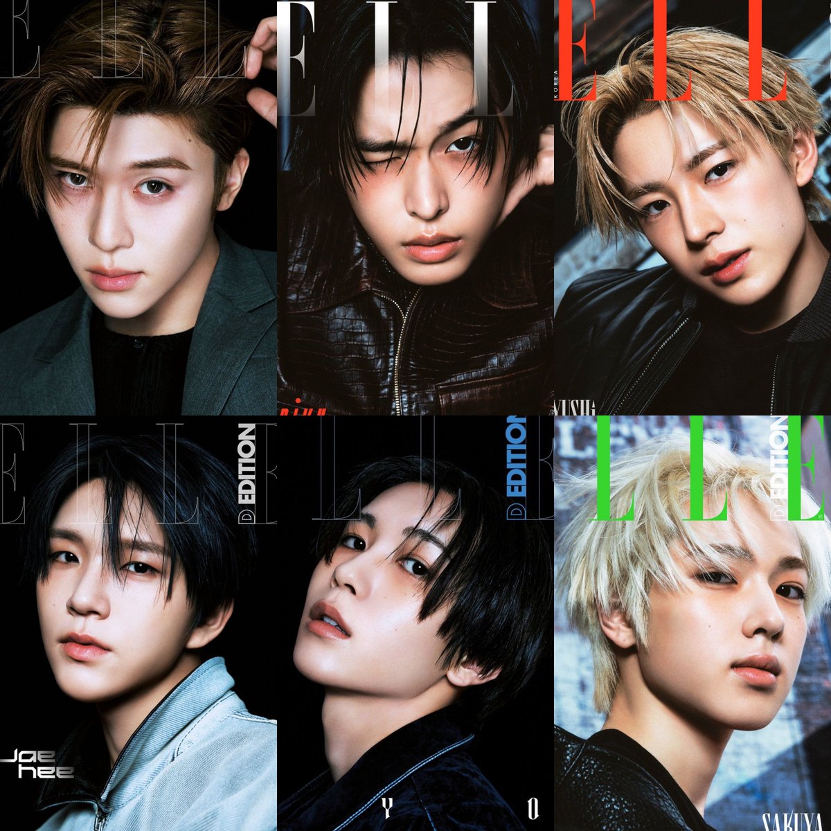 치 🪽 ode to love tweet media