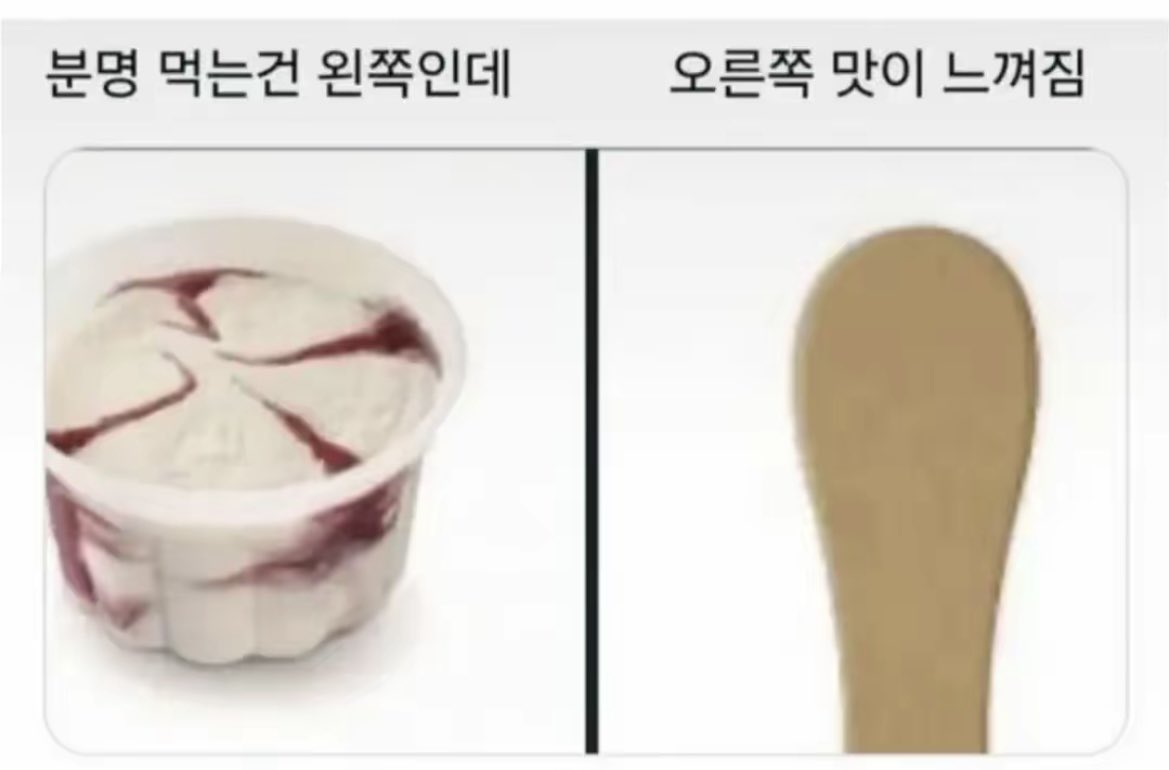 돌아온지지 tweet media