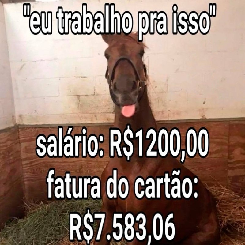 Você Sabia? tweet media