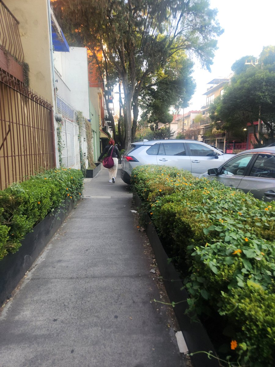 Reportes tweet media