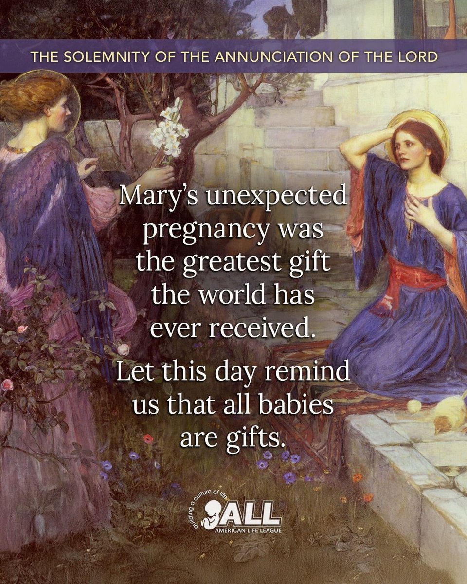 American Life League tweet media