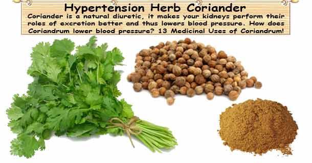 healthyojas's tweet image. Hypertension Herb Coriander buff.ly/dB5fEsm #Hypertension #BloodPressure #Herb #Coriander
