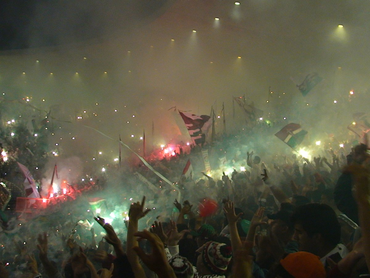 Edu Roch4 tweet media