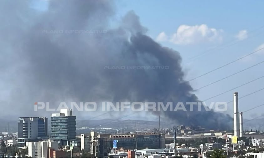 Plano Informativo tweet media