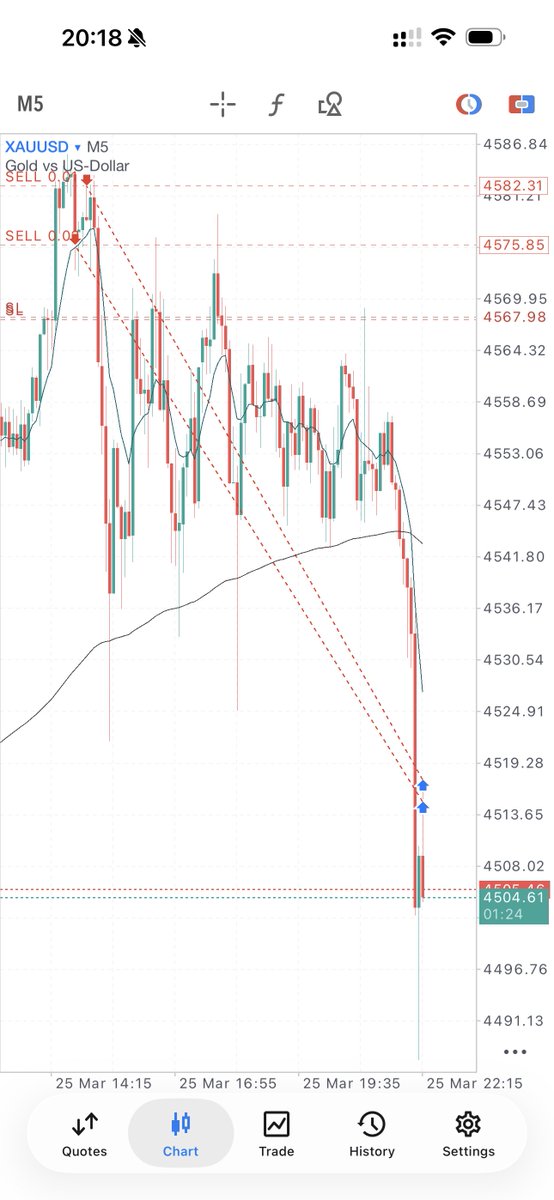 Ray Trades tweet media