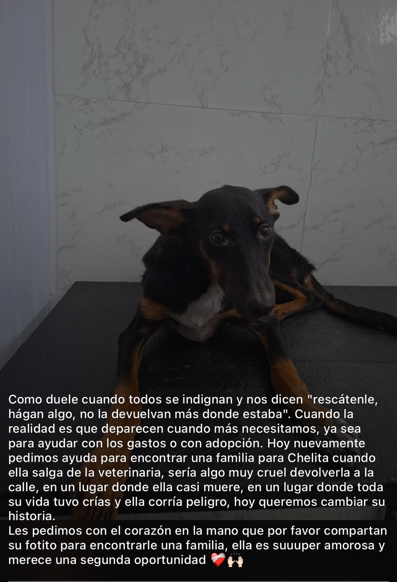 adrijaz. tweet media