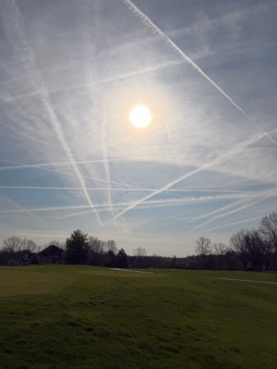 DanielDubs tweet media