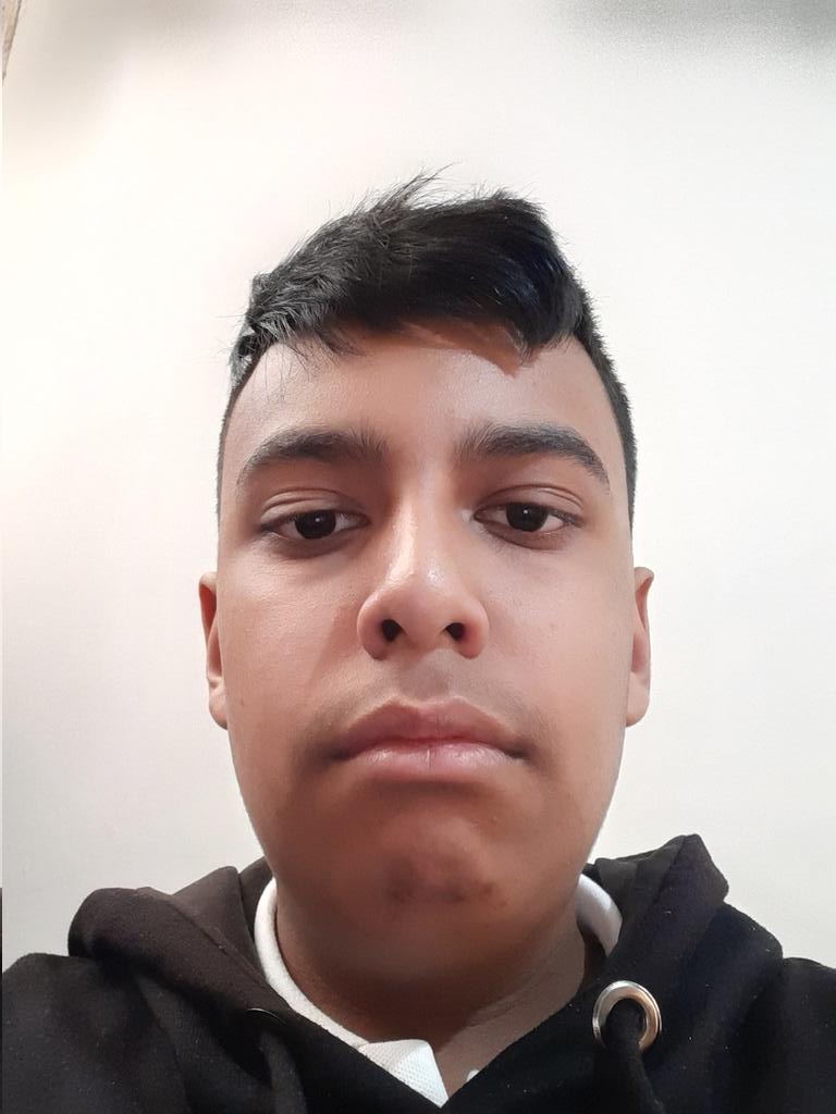 Orange Frog tweet media