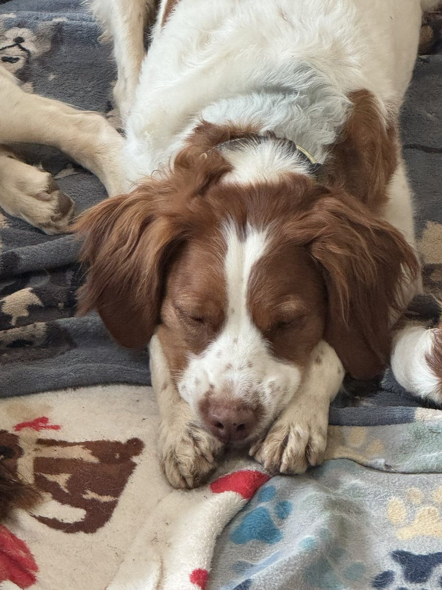 Caroline tweet media