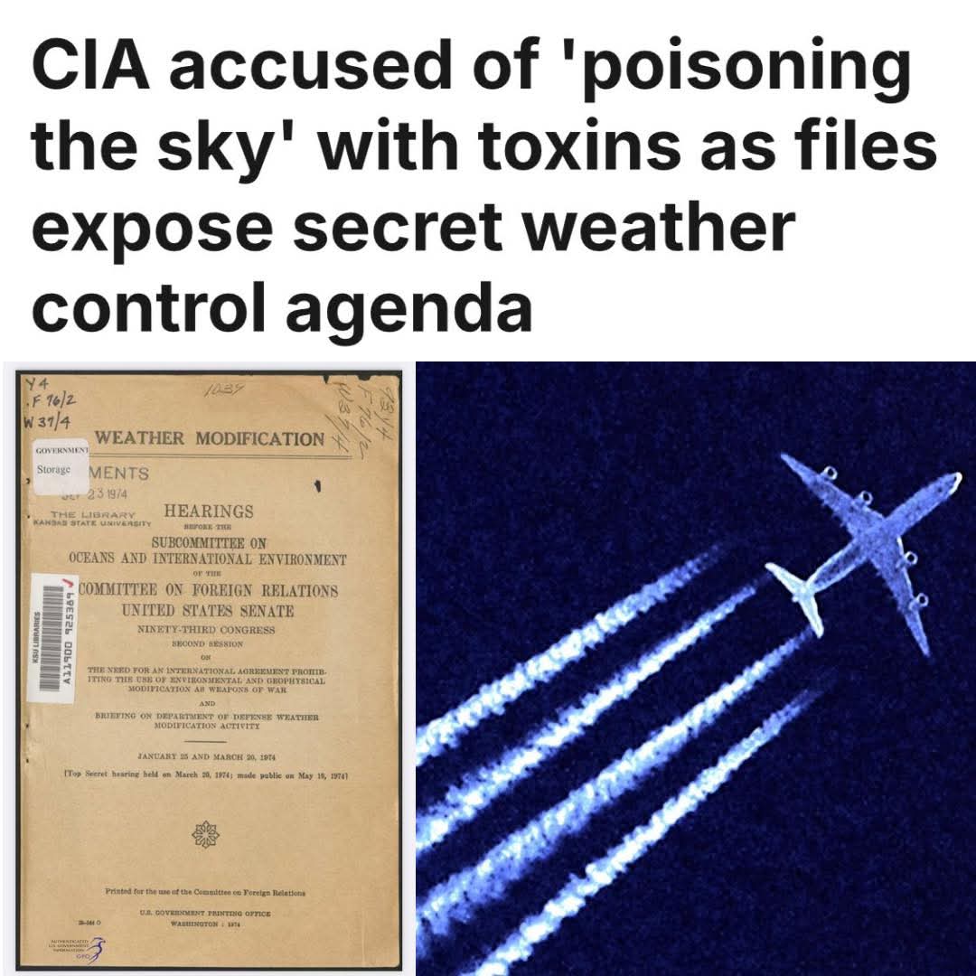 Brock Riddick tweet media