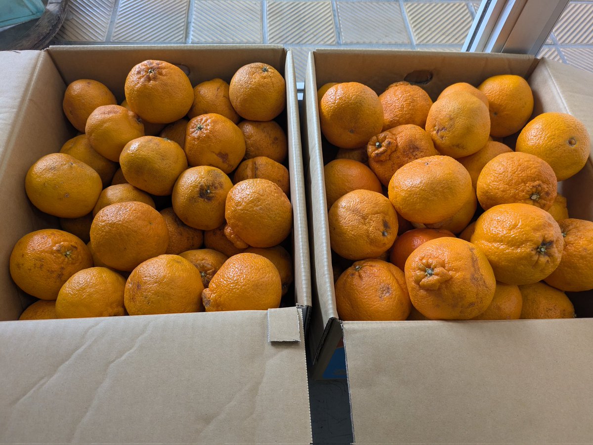 PLUS FOOD 公式【店舗様は無料で参加できます】美味しく賢くフードロス削減に御協力を tweet media