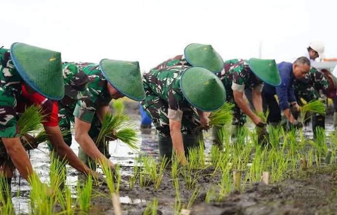 Dosen Pembimbing tweet media