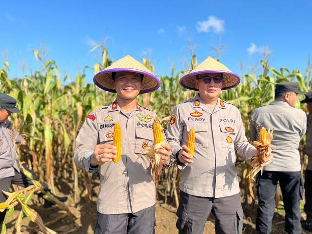 Dosen Pembimbing tweet media