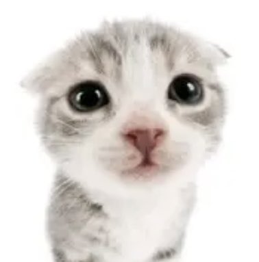 Sun light tweet media