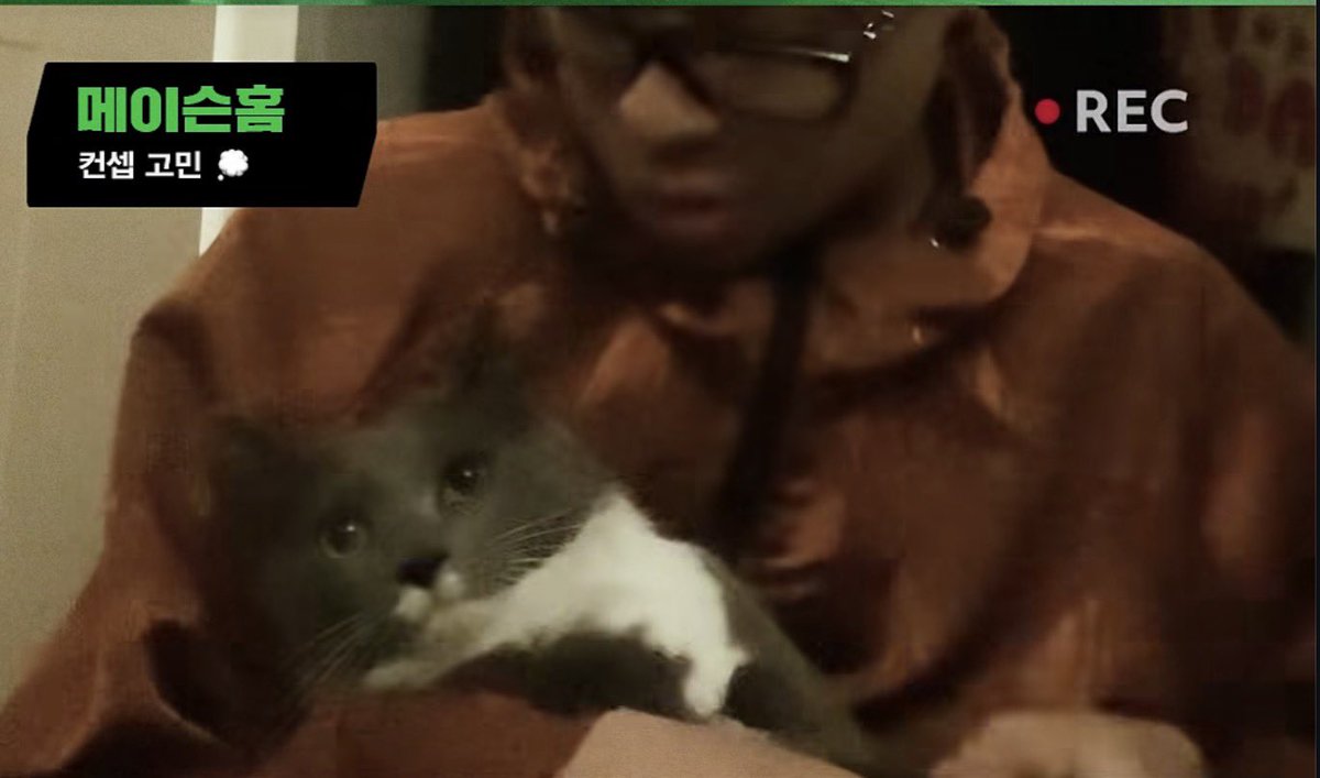 zaki一。 tweet media