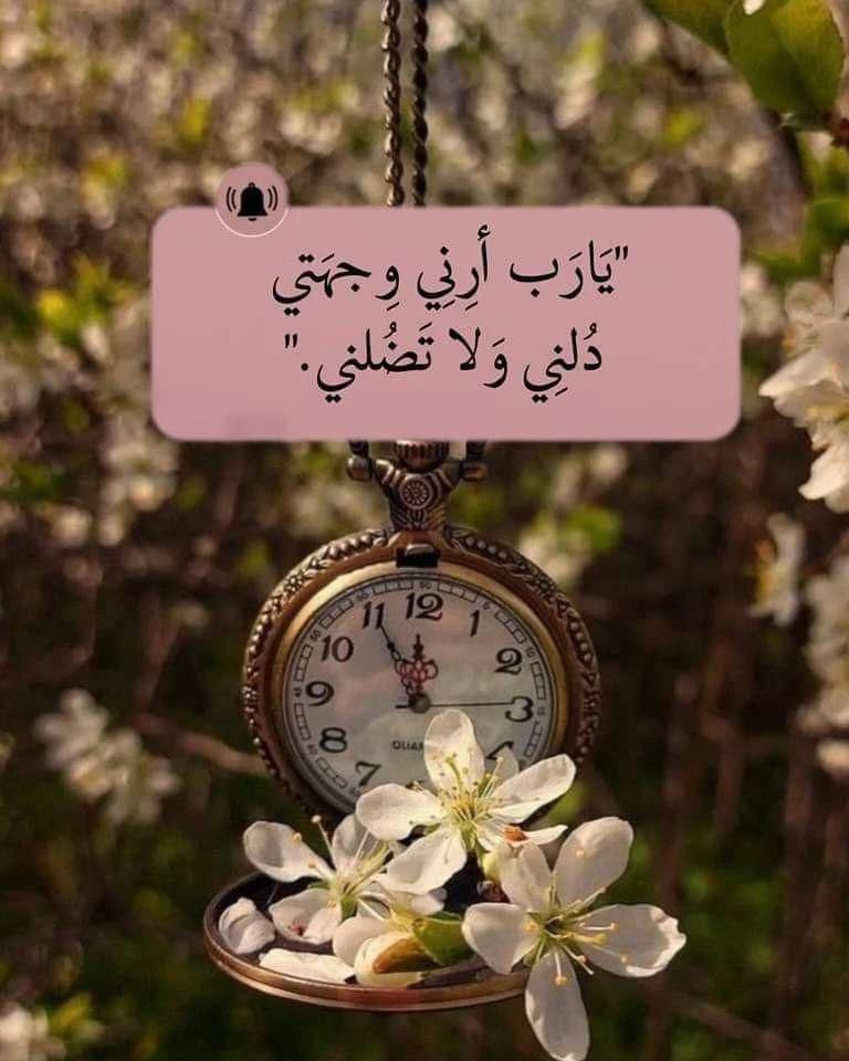 nouar200's tweet photo. https://t.co/4WhhtsRjh8