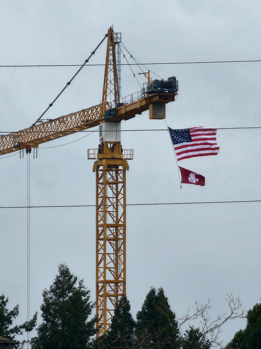 DougLawrenson tweet media