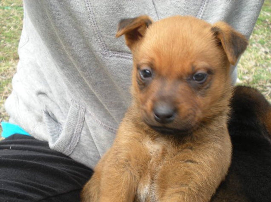 H̀͠T̶TP ́̕L̨͡o̡͠v̕ec̢̀͜ra̛͞f̕ť tweet media