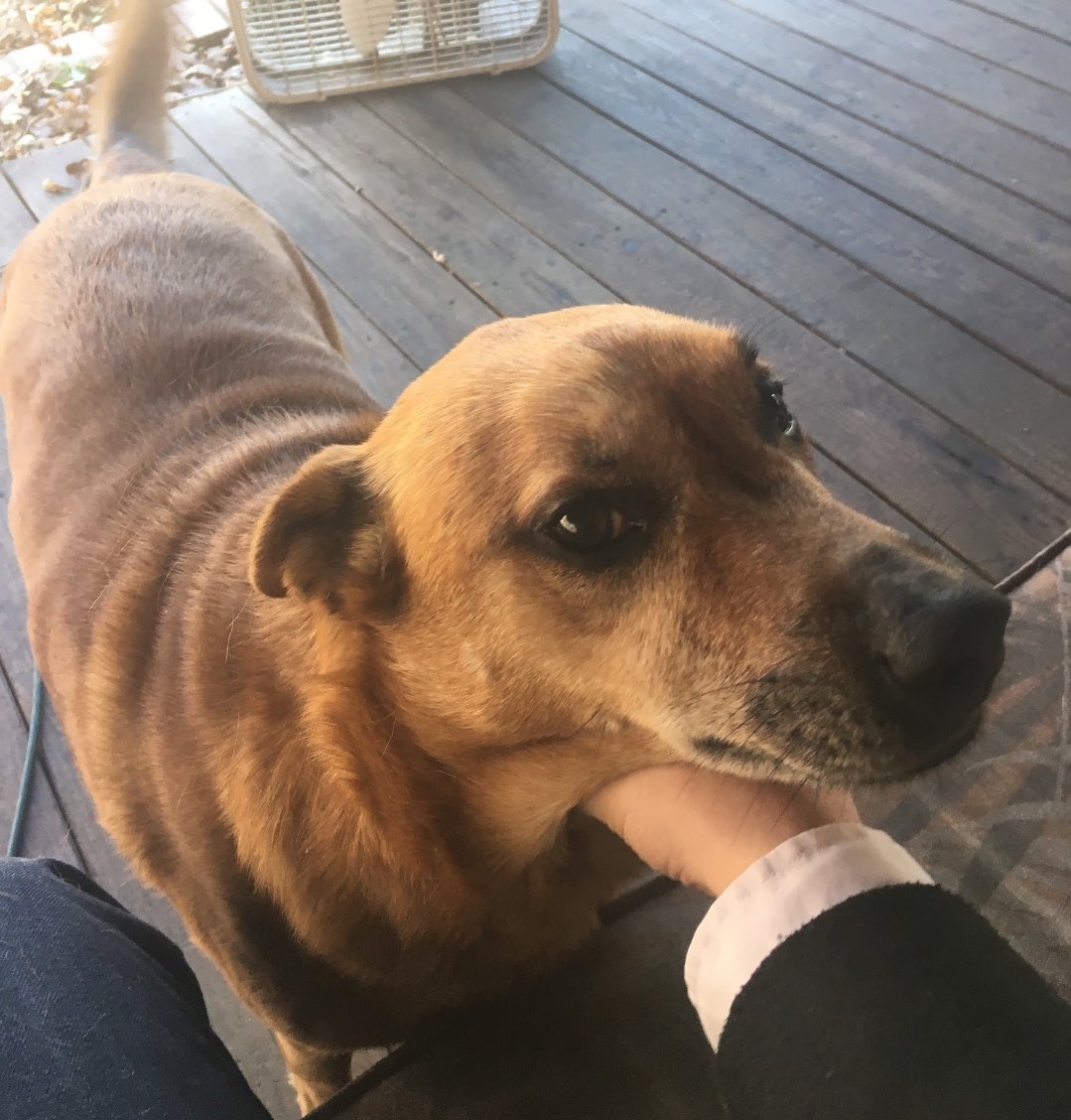 H̀͠T̶TP ́̕L̨͡o̡͠v̕ec̢̀͜ra̛͞f̕ť tweet media