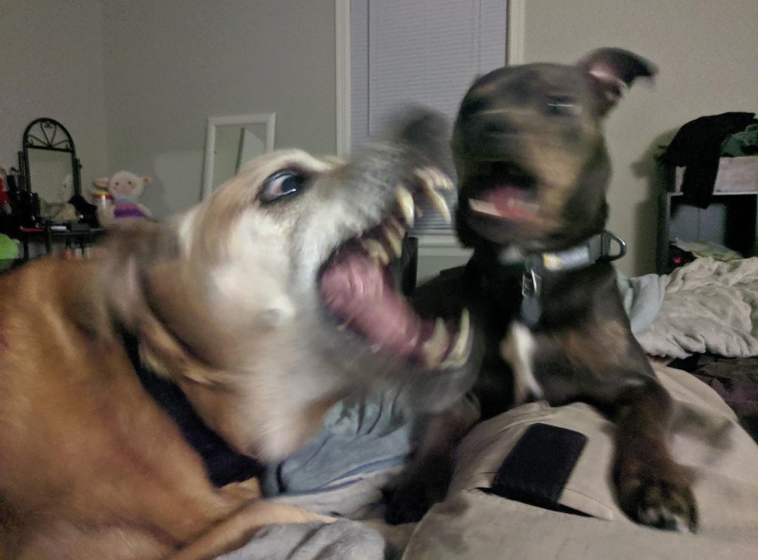 H̀͠T̶TP ́̕L̨͡o̡͠v̕ec̢̀͜ra̛͞f̕ť tweet media