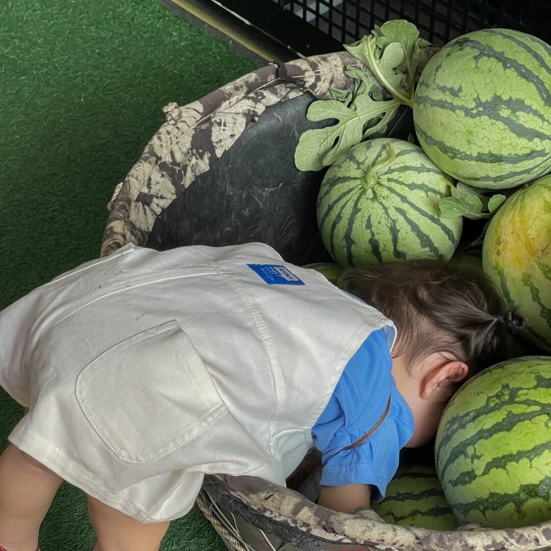 𝐿𝐸𝑂𝑁 tweet media