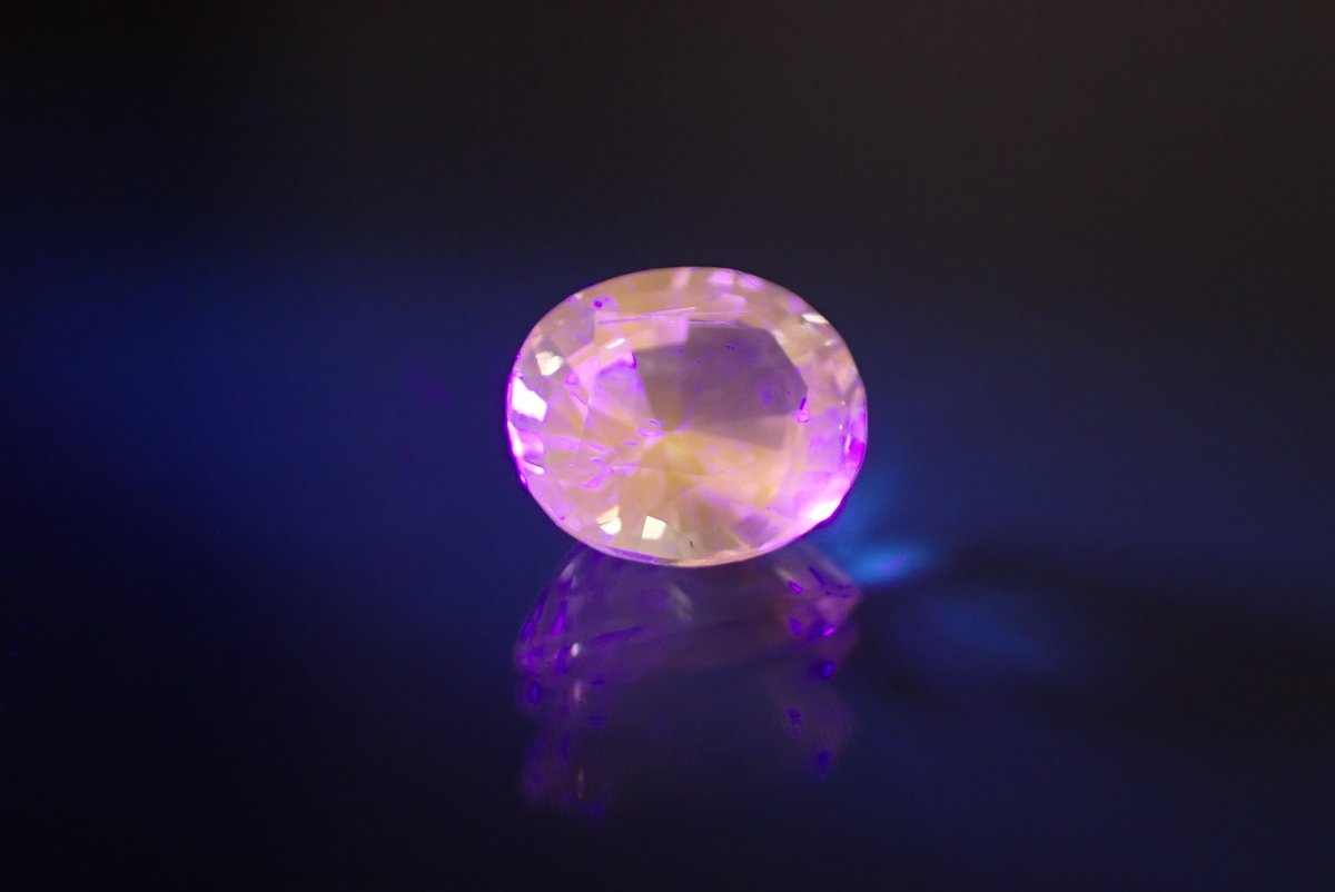 違いを楽しむ宝石屋(ディファレンシー) tweet media