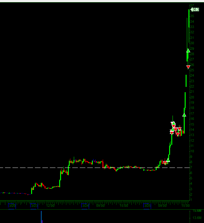 small_caps_automated tweet media