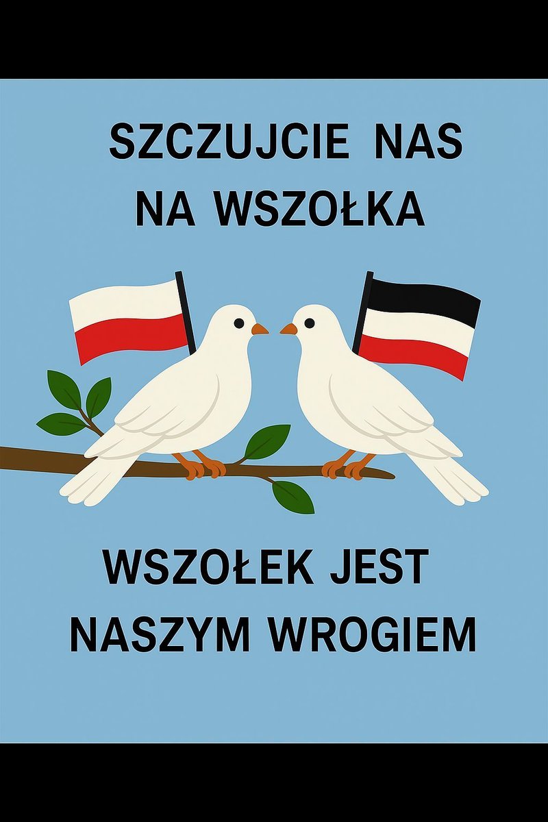 Maciej Pankov 🧘♂️ tweet media