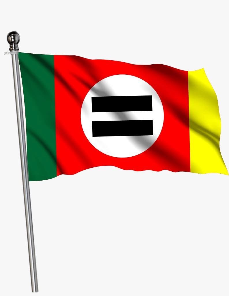 Syed Ali Abbas tweet media