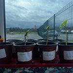 Photo by Miss. Miller (@MissMiller_EYFS)
