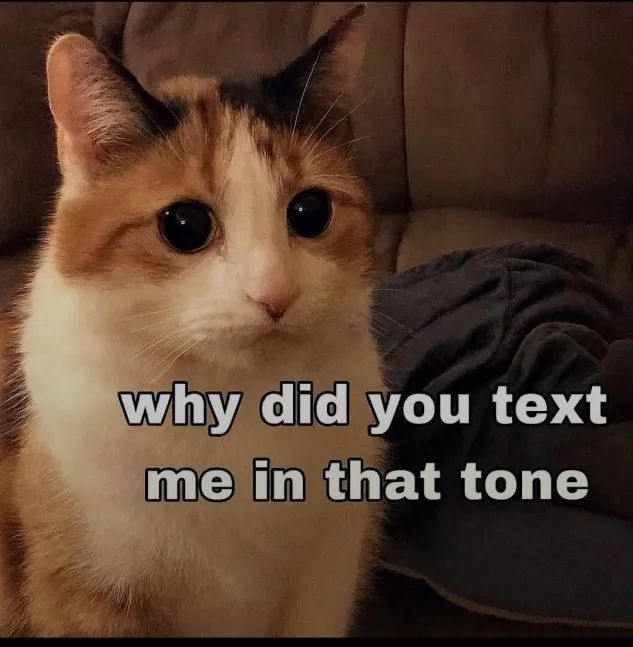 Spring 🌻🍉🕊 tweet media