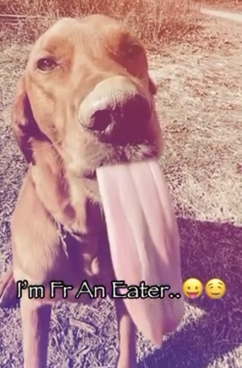 Is Discord Down? tweet media