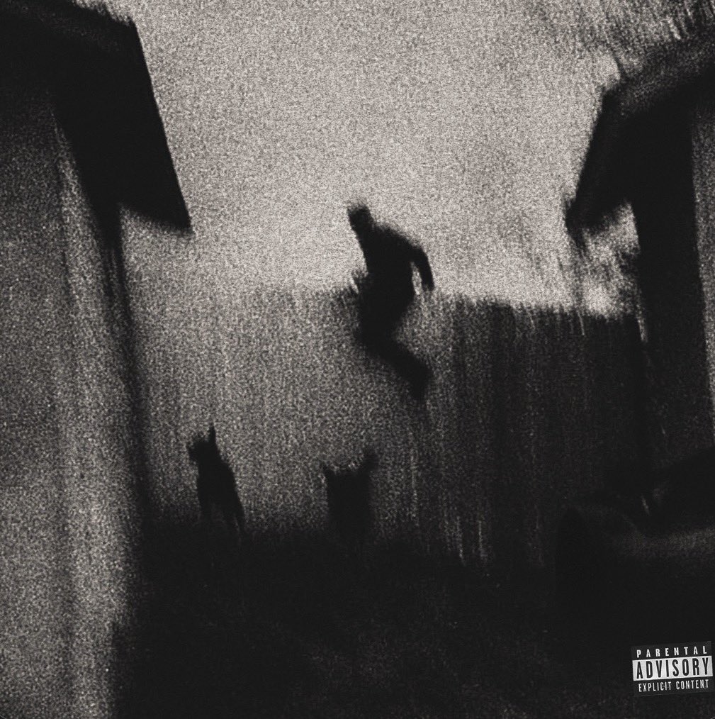 ꜰʟᴀᴍᴇ tweet media