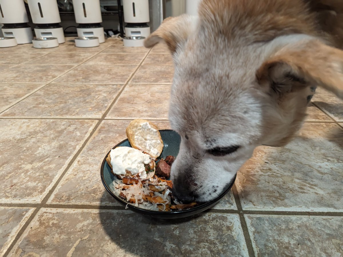 H̀͠T̶TP ́̕L̨͡o̡͠v̕ec̢̀͜ra̛͞f̕ť tweet media