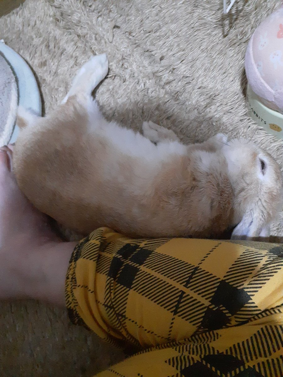 レジェンドと言う言葉と言って上がってきた写真達。
レジェンド級に可愛いと言う事か？！
親ばか🤭