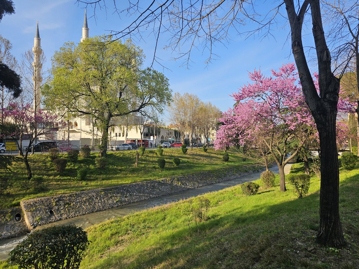 Max Rangeley tweet media