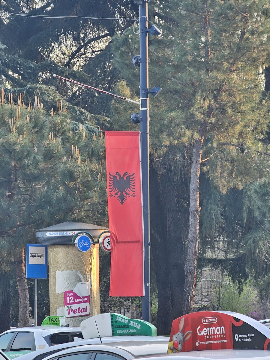 Max Rangeley tweet media