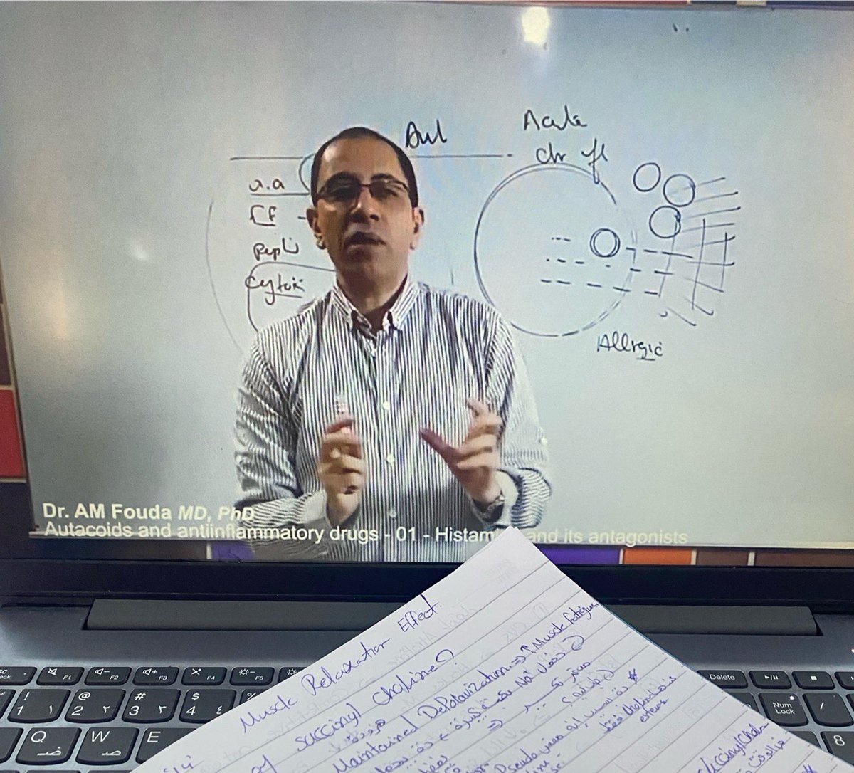 Toqa Mondy tweet media