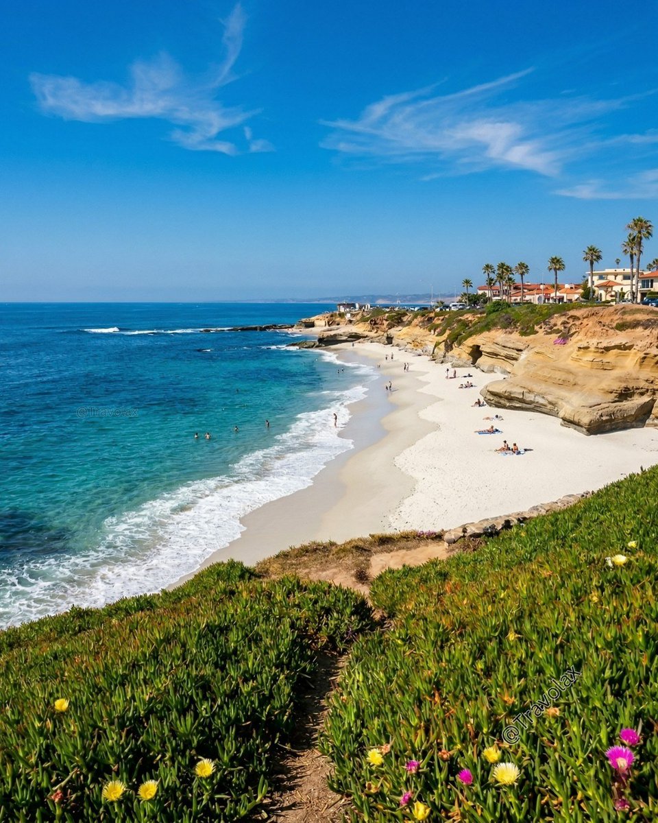 Travolax | Always Traveling tweet media