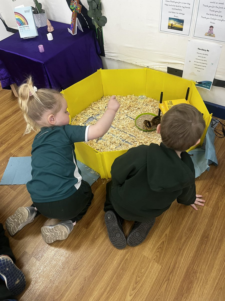 MissMiller_EYFS's tweet photo. Nursery have just loved the process of caring for the eggs, counting down the days until they hatch and watching them grow in chicks 🐣 #AmbitiousCurriculum https://t.co/DYBpgqCEMp