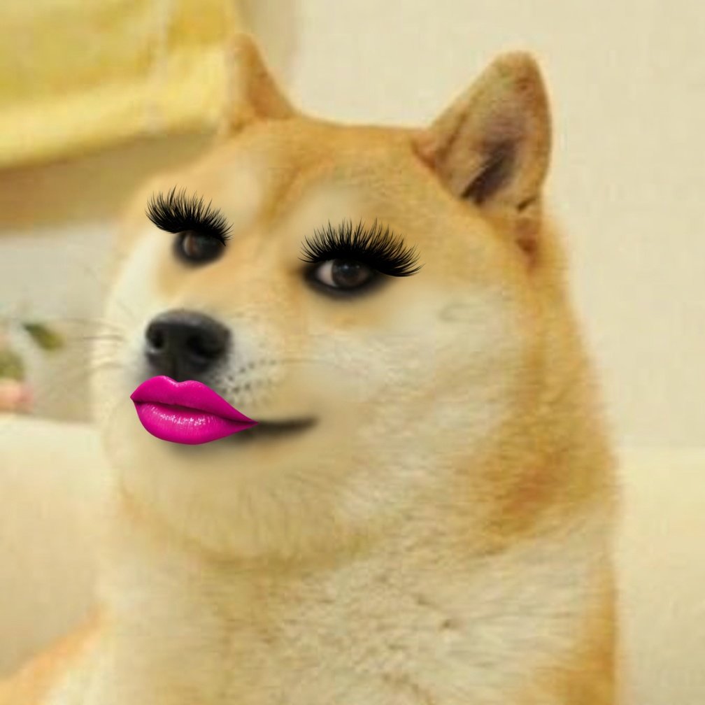 SALTY 913 tweet media