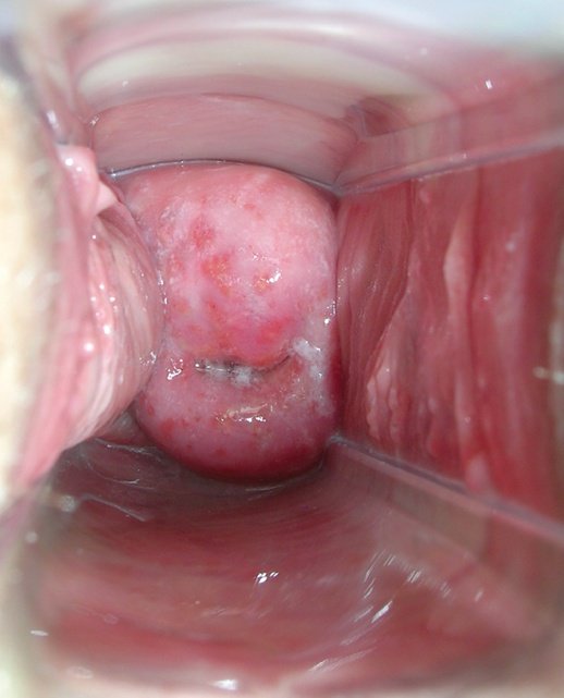 Dr Abdul Hameed 🩺 tweet media