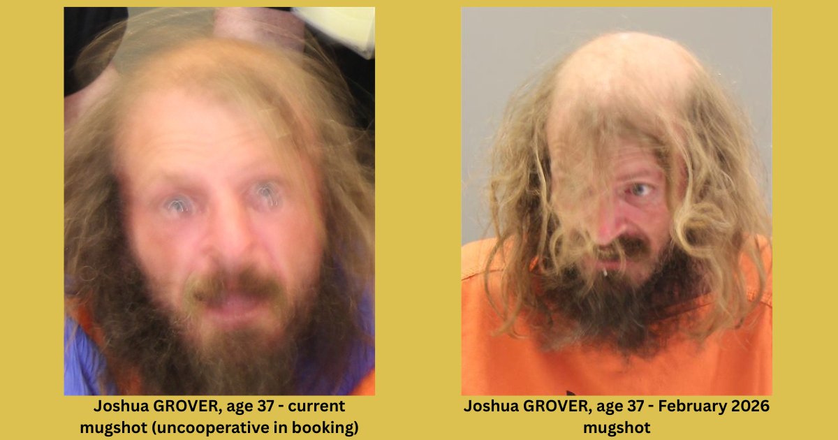 DCSO - Omaha, NE tweet media