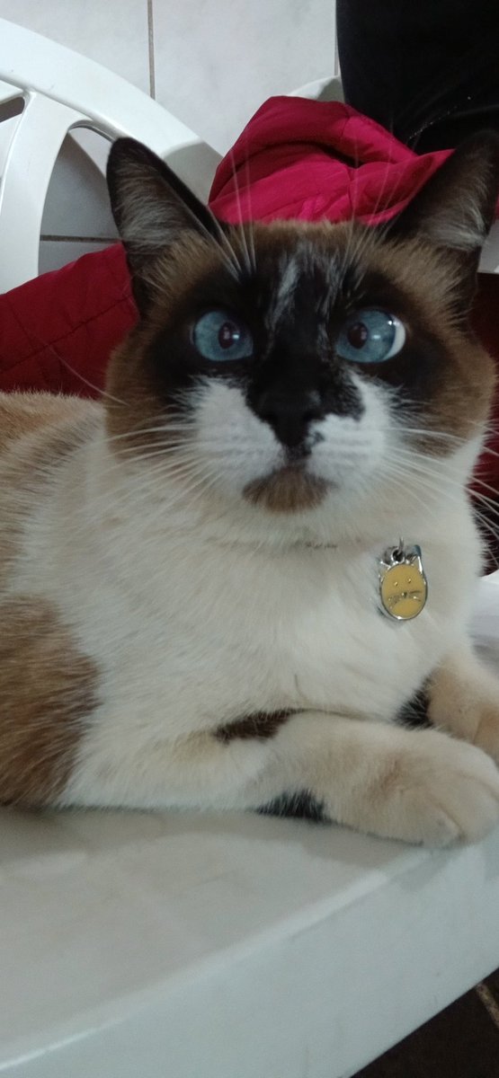 Malmal 🏳️⚧️ tweet media