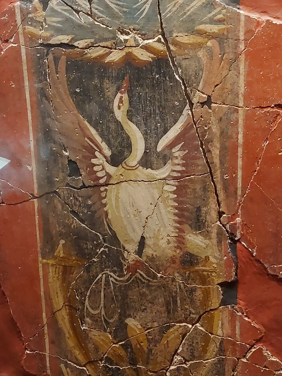 Francisca Martínez tweet media