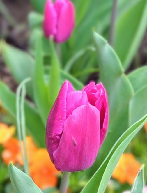 歩美🌸 tweet media